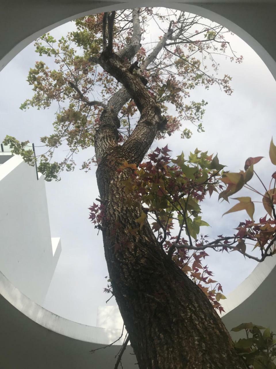 Lof/It Taitung Exterior foto